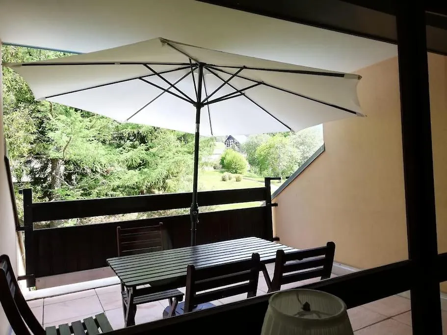 Grand Studio 34 M2 A Villard De Lans Proche Centre